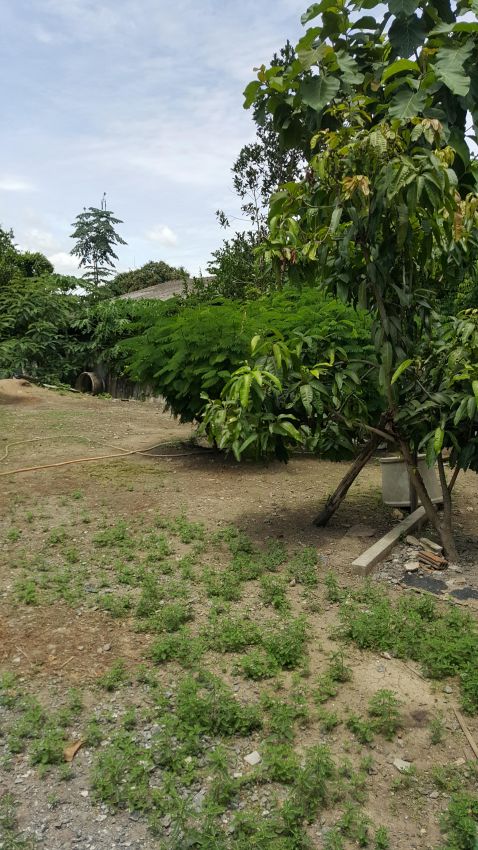 Vacant Land For Sale in Pateung Ontai, Sankumppheang