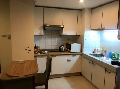 Pet Friendly One Bedroom 70m Sq Apartment For Rent Lower Sukhumvit