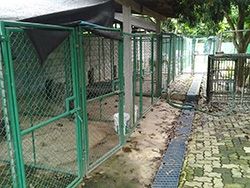 Chainlink fencing for dog kennel runs. Tents as shade covering for car