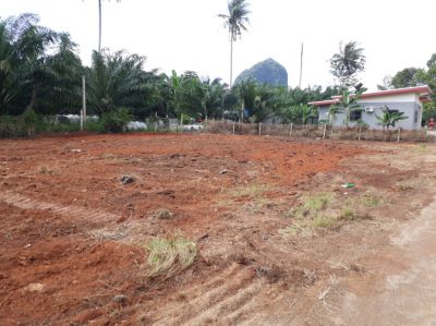 Land for sale ; 1 Chanote 2 hong; 3 Chanote x 6 Ong available; Krabi