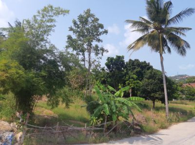 Land in Plai Leam Koh Samui