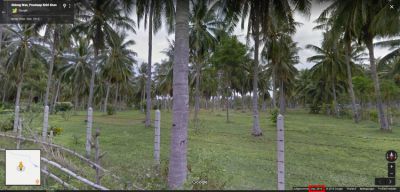 (◕‿◕) THAI RIVIERA 8,000 sqm - Coconut Farm | Natural Retreats