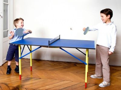 Mini Ping Pong / Table Tennis