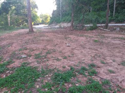 Land For Sale 200 Meters To The Beach in Bangsaphan