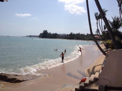 Top rated Beach Hostel and Bar/Restaurant for sale in Koh Samui