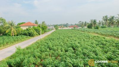 #LS932 100 Sq.Wah Land In Pong For Sale At East Pattaya  