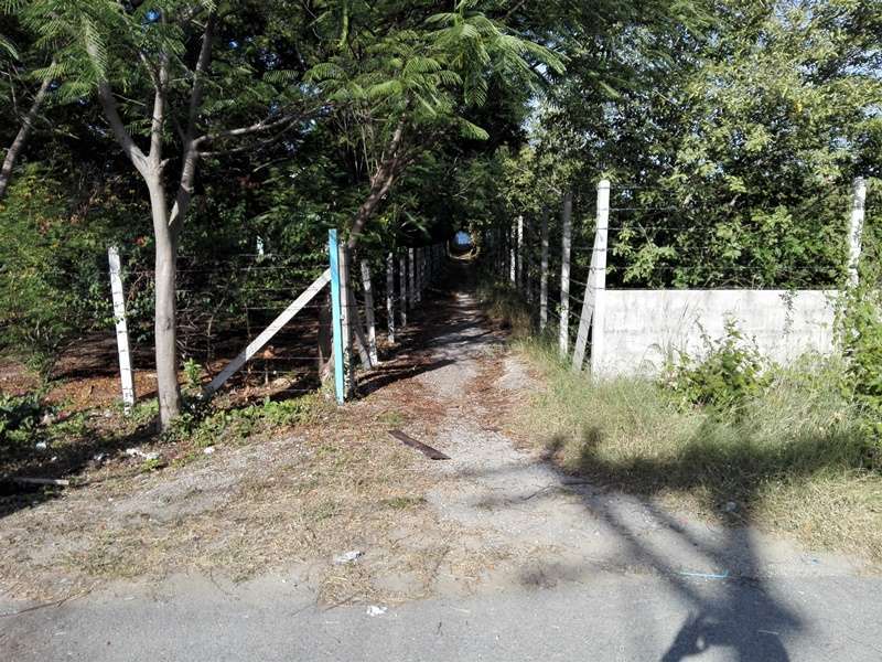 Awesome! 1-0-58 Rai Plot Only 125 Meters to Beach