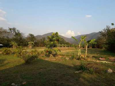 Land plots for sale in the center of Thung Chang (Nan province) 