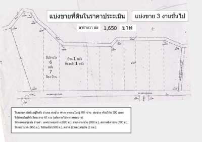 Land plots for sale in the center of Thung Chang (Nan province) 