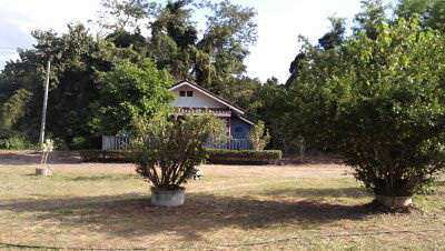 Land for sale, suitable for those who buy a quiet location to practice meditation or meditation. ท่ามกลา