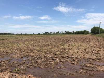 Sell Land  at Panatnikom Chonburi Province 85 rai