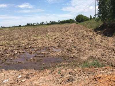 Sell Land  at Panatnikom Chonburi Province 85 rai
