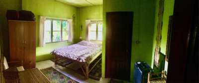 Cozy house in tropical garden in wonderful Phrao valley - make offer!