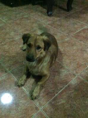 Who wants to adopt this cute little boy of 6 months old?