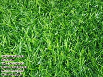 Artificial grass, furry grass, cheapest garden