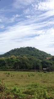Beautiful land for sale located in Chiang Rai (just 2 kilometres away