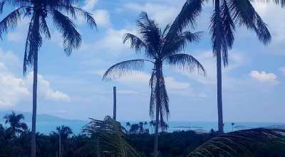 Sea view land for sale in Bophut Koh Samui - 1600m²