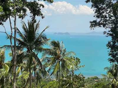 For sale sea view land in Bang Por Koh Samui - 2310 sqm