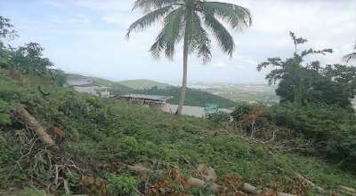 For sale Sea view lands in Chaweng Koh Samui 400 sqm - 512 sqm