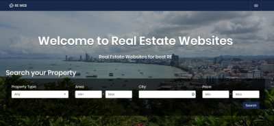 Real Estate Business Website DIY
