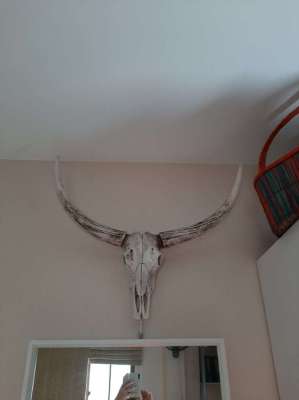 Bull skull statue