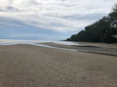 Big Beachfront land for sale / Very cheap / Trad Province / Koh chang 