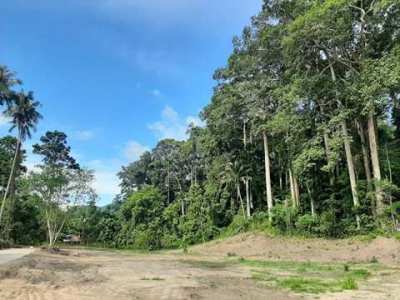 For sale lands in Lamai Koh Samui 