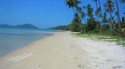 For sale land in Bang Kao Koh Samui 80 m from the beach