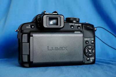 Panasonic Lumix FZ100 25-600mm f/2.8-5.2 Leica DC Vario-Elmarit Lens