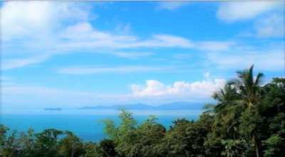 For sale sea view land in Bang Por Koh Samui - 12.724 sqm