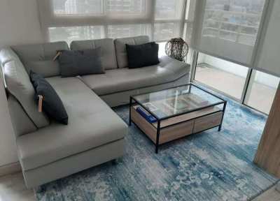 Blue White Large Carpet
