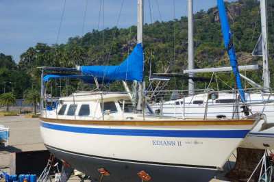 SeaStream Motor Sailor