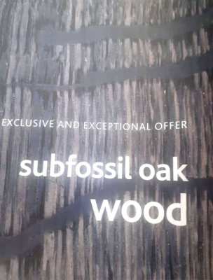 Subfossil oak wood doze age 8500 year