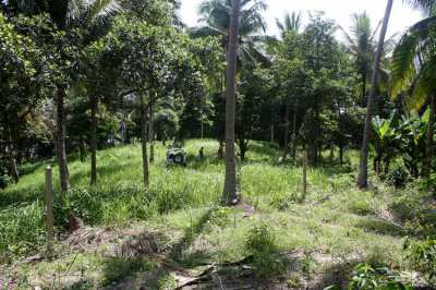 FARM LAND FOR SALE ON TOP OF THE HILL