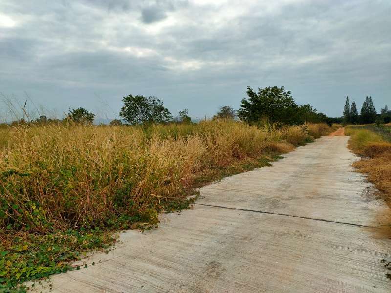  Nice Land Investment 48-2-05 Rai Plot Connecting Land Available 