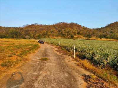 Hot! Mountain View Land Owner Will Cut 2 Rai Plot 6 Meter Wide Road