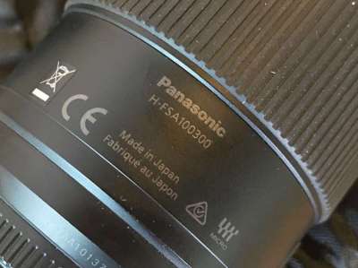 Panasonic 100-300mm G Vario f/3.5-5.6 Mark II Telephoto Lens