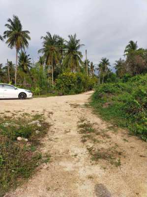 Land, 200 sqm for house, close to highway 7/36 road