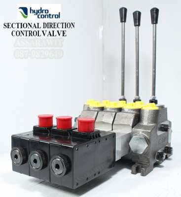Electric hand control (COMPLETE VALVE) Hydrocontrol model HC-D