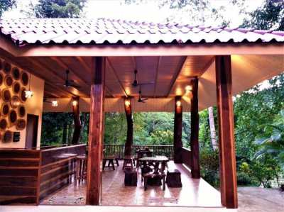 River Front Resort and house for SALE in Khao Sok National Park