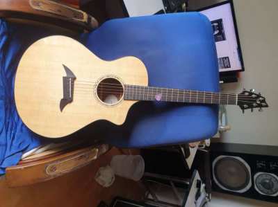 Breedlove C25/SSE Acoustic Guitar                                    