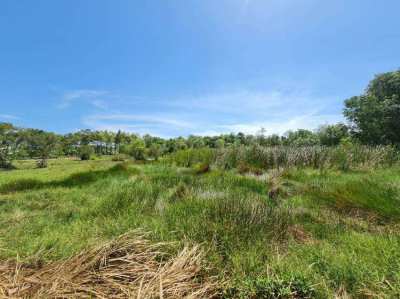 Blank Land in good price near beach, tourist place, good investment