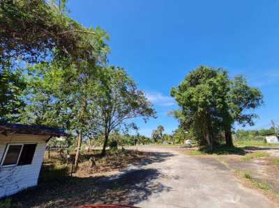 Blank Land in good price near beach, tourist place, good investment