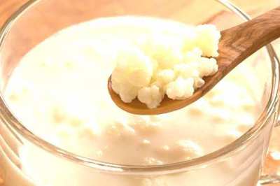 Probiotic Milk Kefir Grains