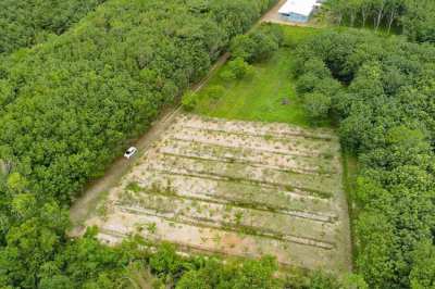 1 Rai Land for Sale in Secluded Spot away from Traffic