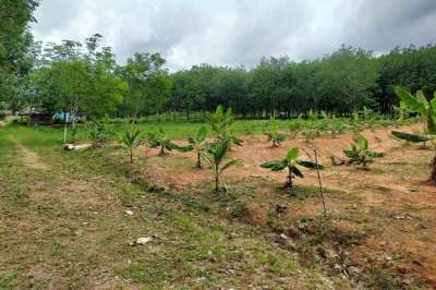 1 Rai Land for Sale in Secluded Spot away from Traffic