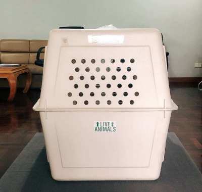 IATA Certified Dog Crate & Kennel