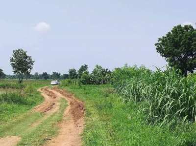 Land for sale in Non Sung District, Nakhon Ratchasima (Owners Post)