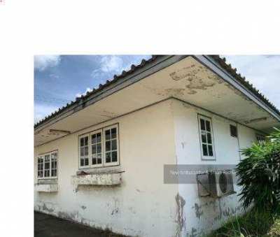 House for rent in Bearing Soi 19 (Owners Post)