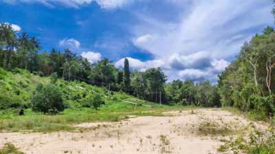 Flat land for sale at hinkong area
